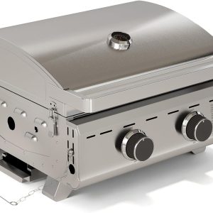 20,000 BTUs Portable Tabletop Gas Grill, 2-Burner Propane Grill with 251 Sq.in Cooking Area, Stainless Steel BBQ Grill with Foldable Legs, Easy Assemble & Clean for Patio, Camping, Tailgate